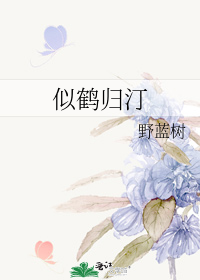 似鹤归汀