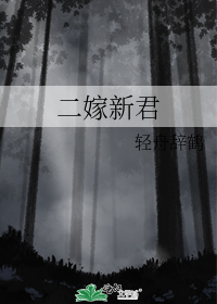 二嫁新君