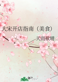 大宋开店指南（美食）