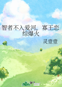 智者不入爱河,寡王恋综爆火