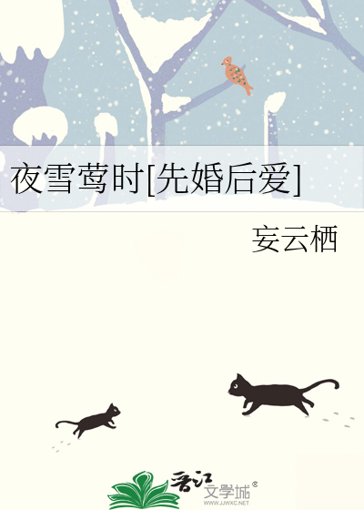 夜雪莺时[先婚后爱]
