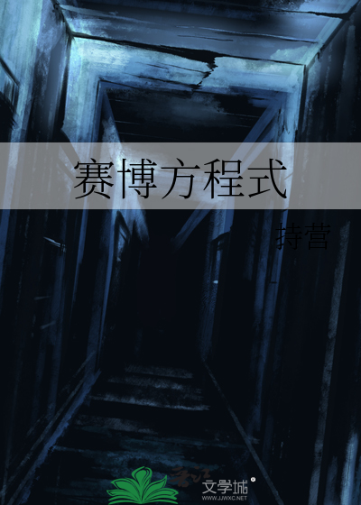 赛博方程式