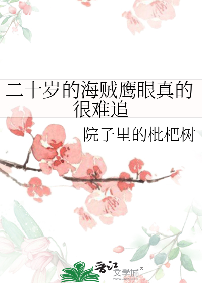 二十岁的海贼鹰眼真的很难追