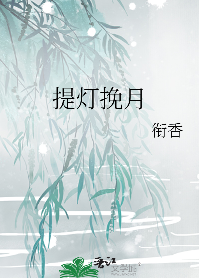 提灯挽月