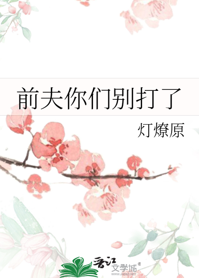 前夫你们别打了