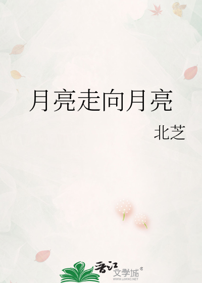 月亮走向月亮