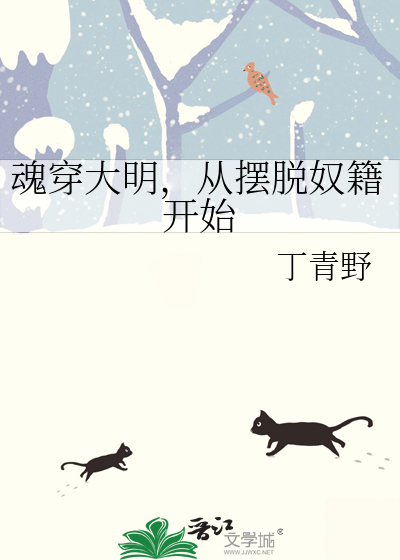 魂穿大明,从摆脱奴籍开始