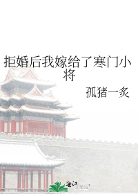 拒婚后我嫁给了寒门小将