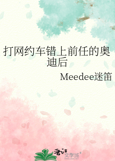 打网约车错上前任的奥迪后