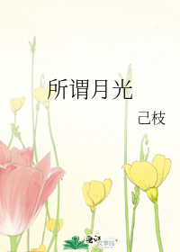 所谓月光