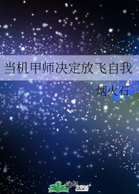 当机甲师决定放飞自我