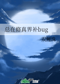 总在修真界补bug