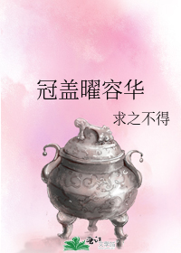 冠盖曜容华